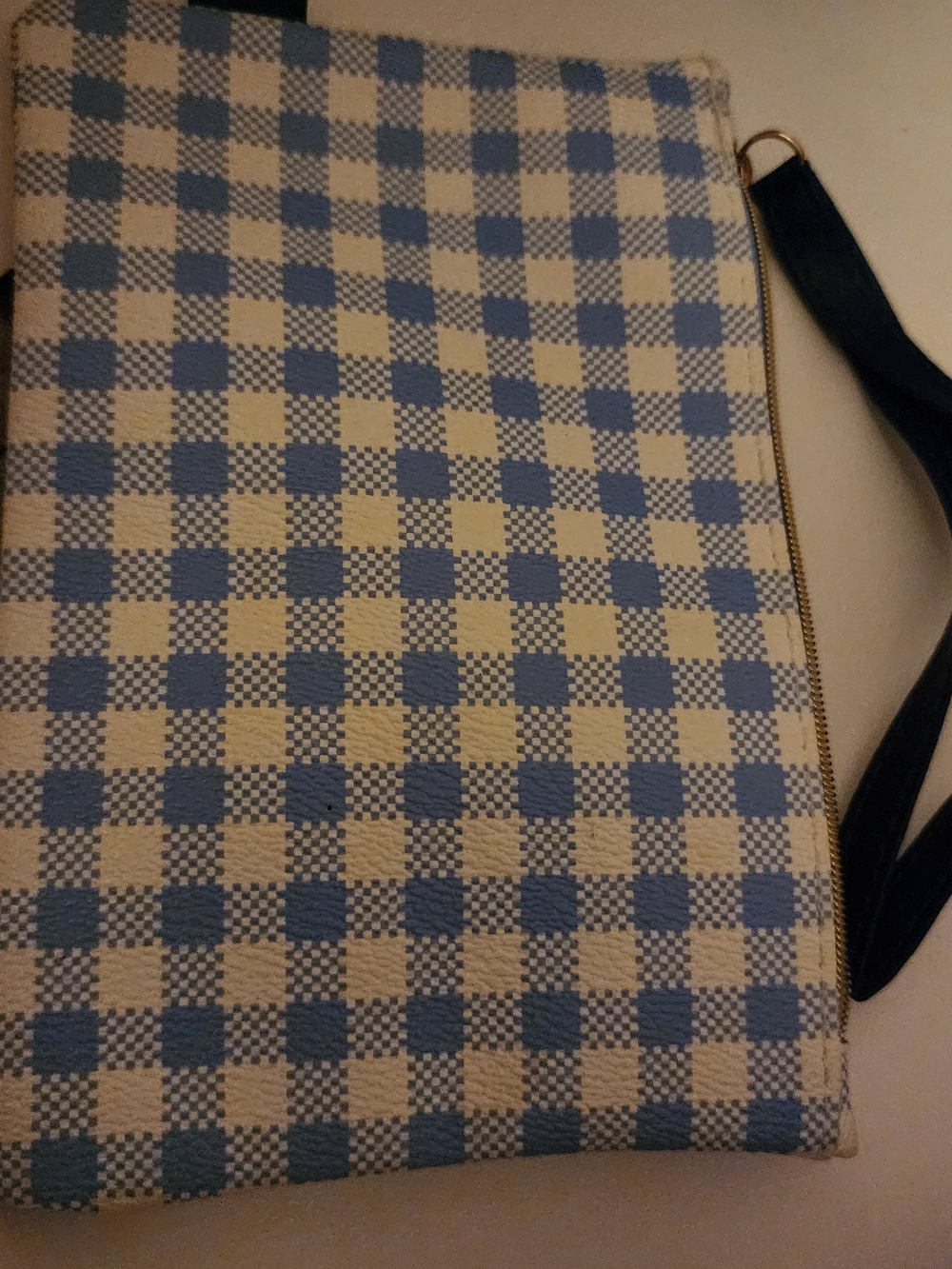 Canvas Check Zip Pouch Clutch in Blue and Cream